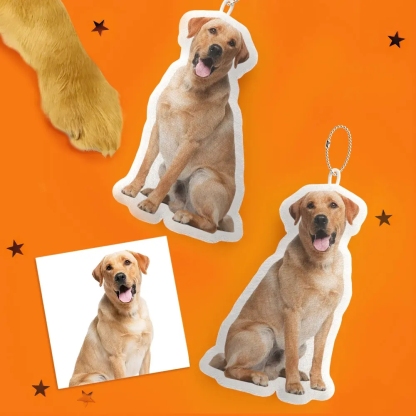 Custom Pet Pillow – Personalized Cat Dog Shaped Pillow Picture Pillow for Pet Lovers Unique Home Decor Gift