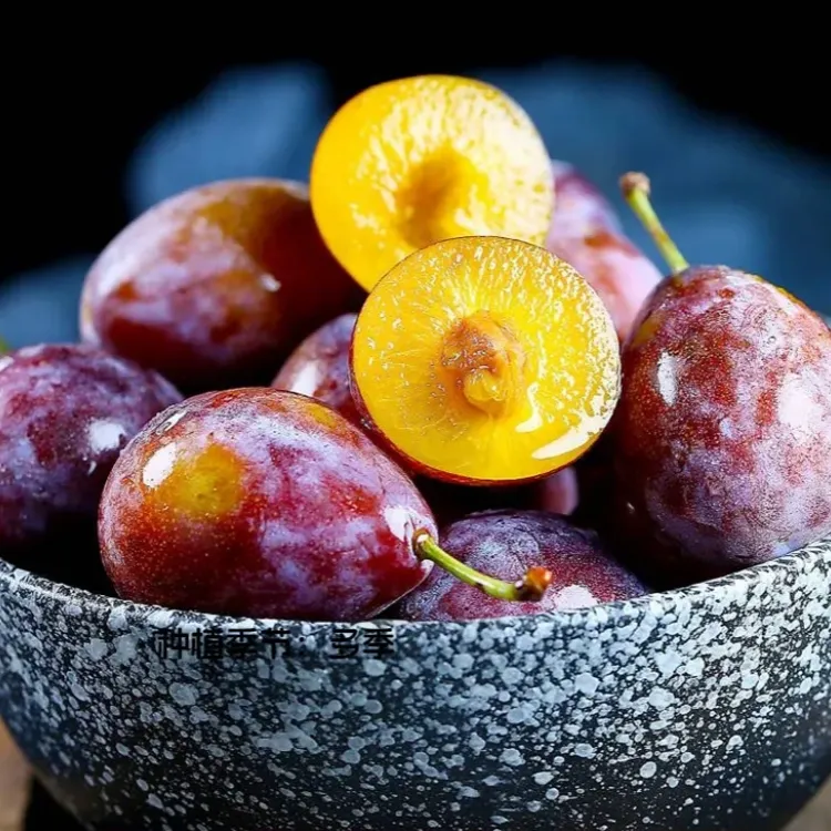 Niebieskie nasiona Misy Mei