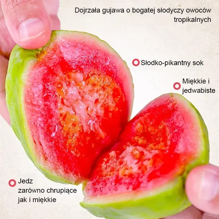 【Miękkie, słodkie i aromatyczne】Nasiona czerwonej gujawy