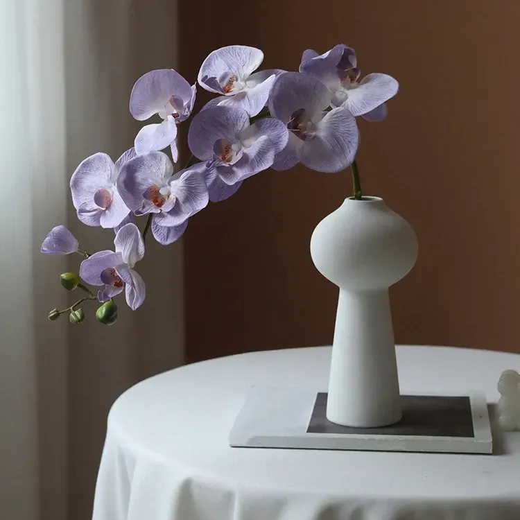 【Cztery pory roku】 Wysokiej jakości nasiona storczyka Phalaenopsis