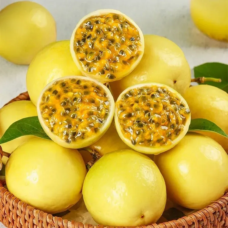 Król witaminy C Nasiona złotej marakui kolumbijskiej