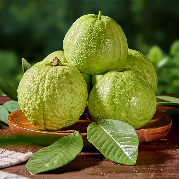 【Miękkie, słodkie i aromatyczne】Nasiona czerwonej gujawy