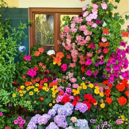 Kwiaty czterech pór roku pięknorodność kosmosu