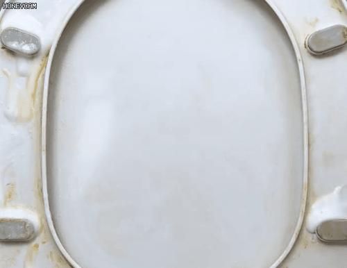 Honeycam 2025-11-29 10-37-21.gif