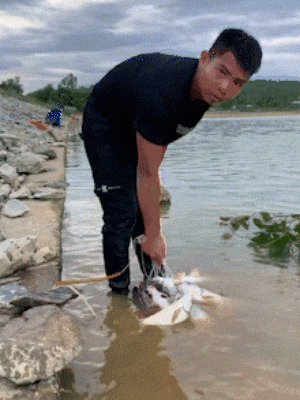 76d4e4f5c1293e0f53467b65240ebb89.gif