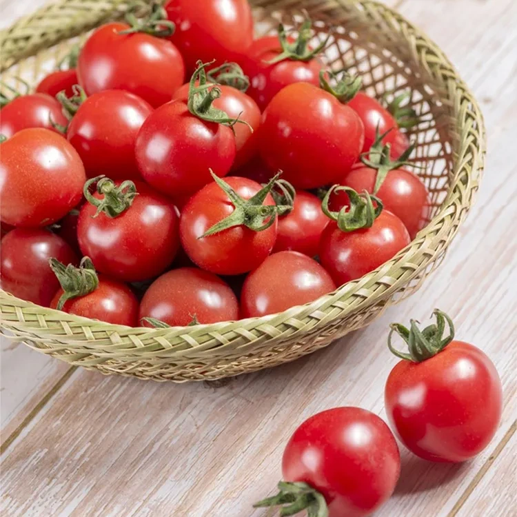 Wielogatunkowe Nasiona pomidora koktajlowego