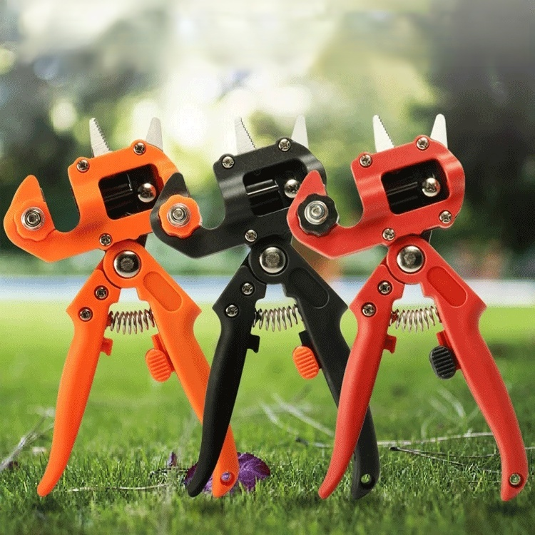 Wielofunkcyjny przyrząd do przeszczepów