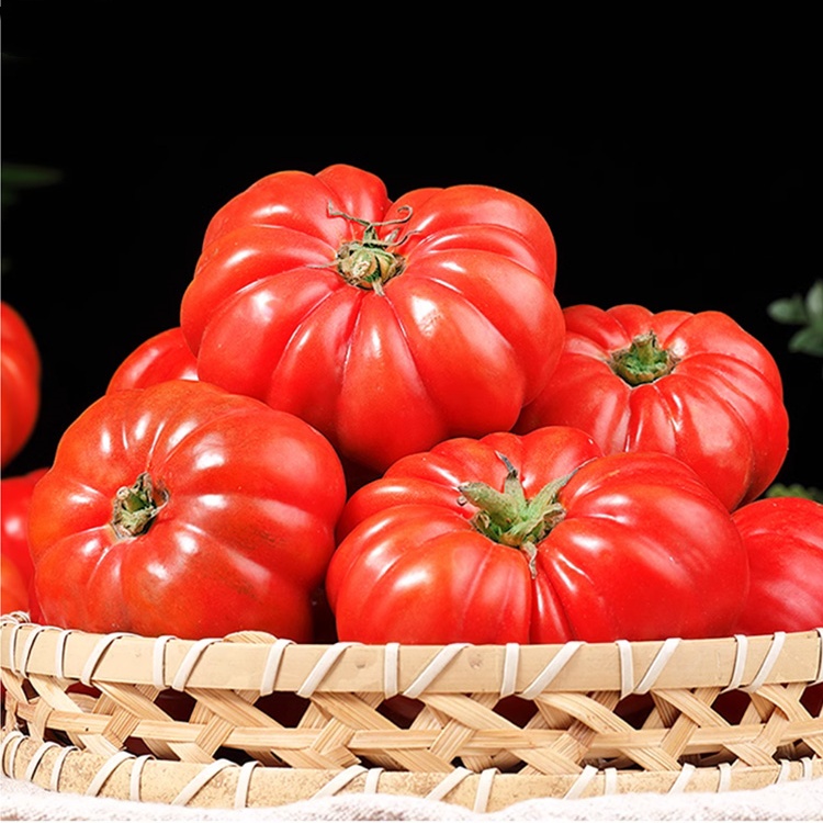 Nasiona pomidorów końskich z soczystym miąższem.