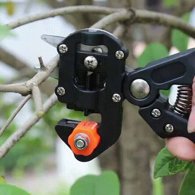 Wielofunkcyjny przyrząd do przeszczepów