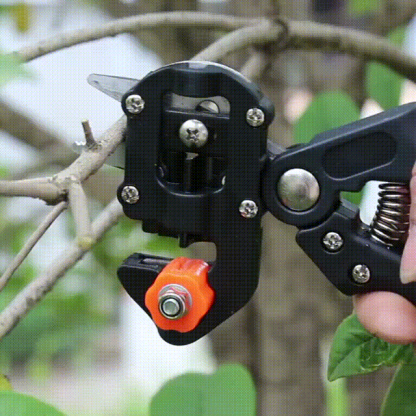 Wielofunkcyjny przyrząd do przeszczepów