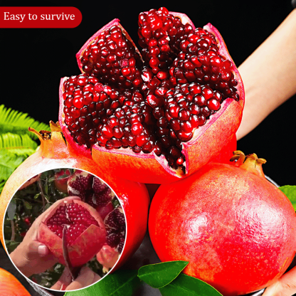 Nasiona tunezyjskiego granatu bez pestek