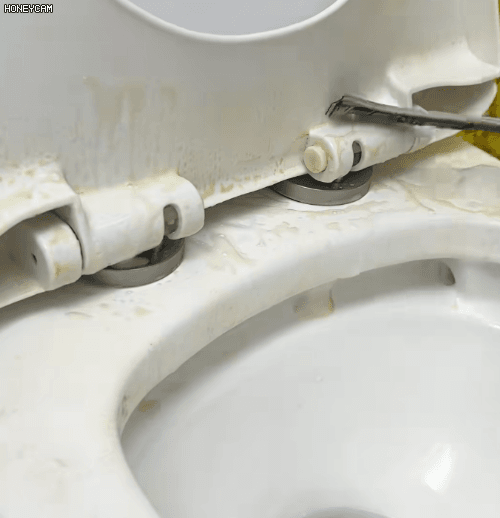 Honeycam 2025-11-29 10-29-45.gif