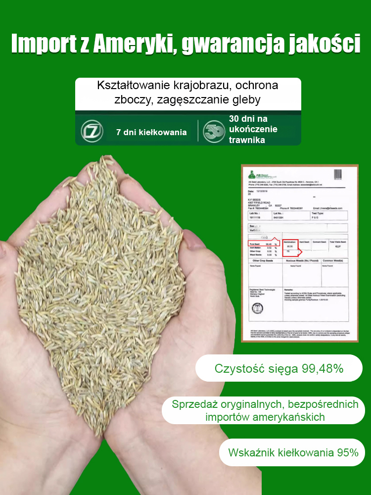 【7-dniowe kiełkowanie nasion trawnika】Niezależnie od tego, czy mamy upalne lato (+40°C), czy mroźną zimę (-20°C pod śniegiem), Twój ogród pozostanie soczyście zielony. Wystarczy rozsypać nasiona: kiełkują w 7 dni, a po miesiącu tworzą gęsty, miękki dywan.