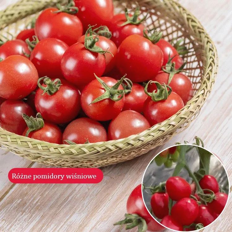 Wielogatunkowe Nasiona pomidora koktajlowego