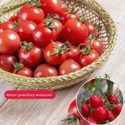 Wielogatunkowe Nasiona pomidora koktajlowego