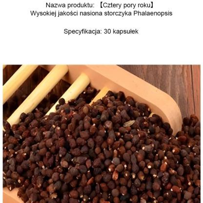 【Cztery pory roku】 Wysokiej jakości nasiona storczyka Phalaenopsis