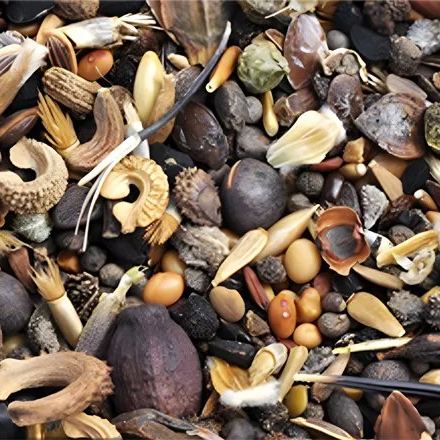 Kwiaty czterech pór roku pięknorodność kosmosu