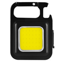 Multifunctional portable keychain light