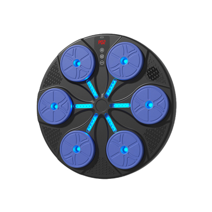 Smart Bluetooth Music Boxing Target