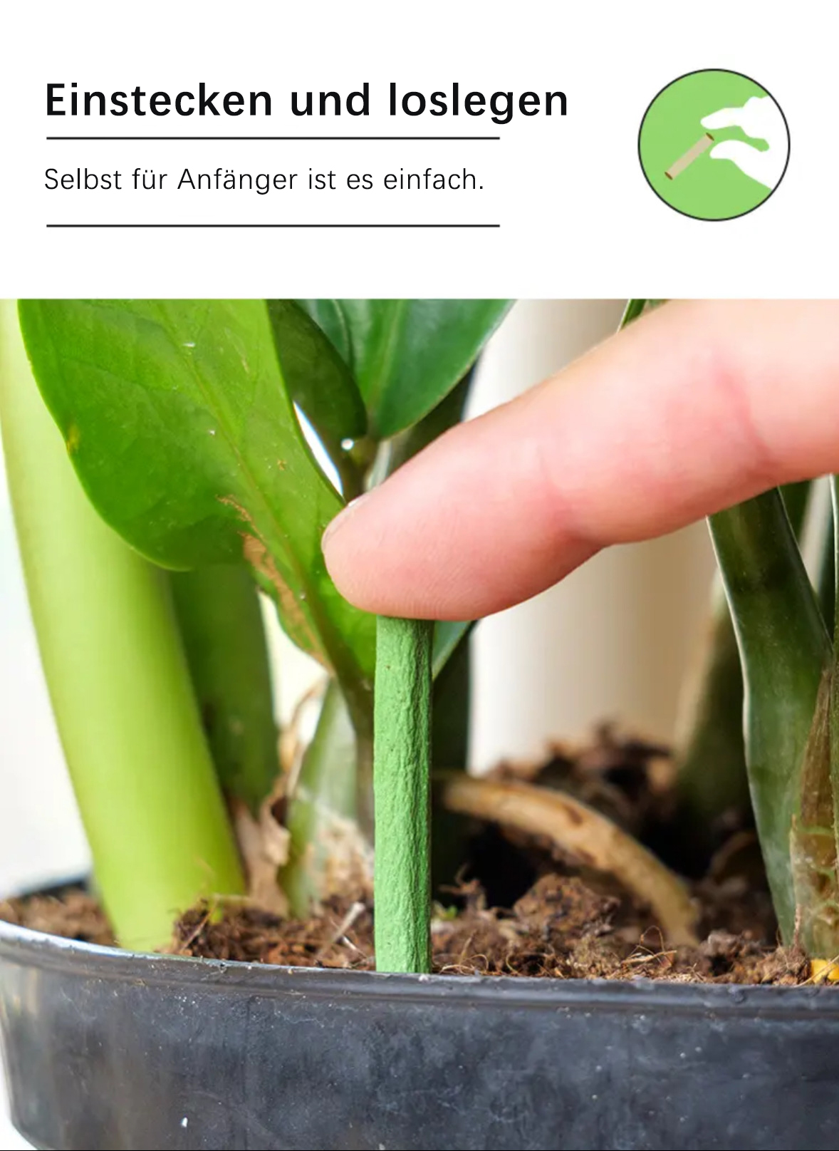 Pflanzendünger-Spikes - Universaltyp