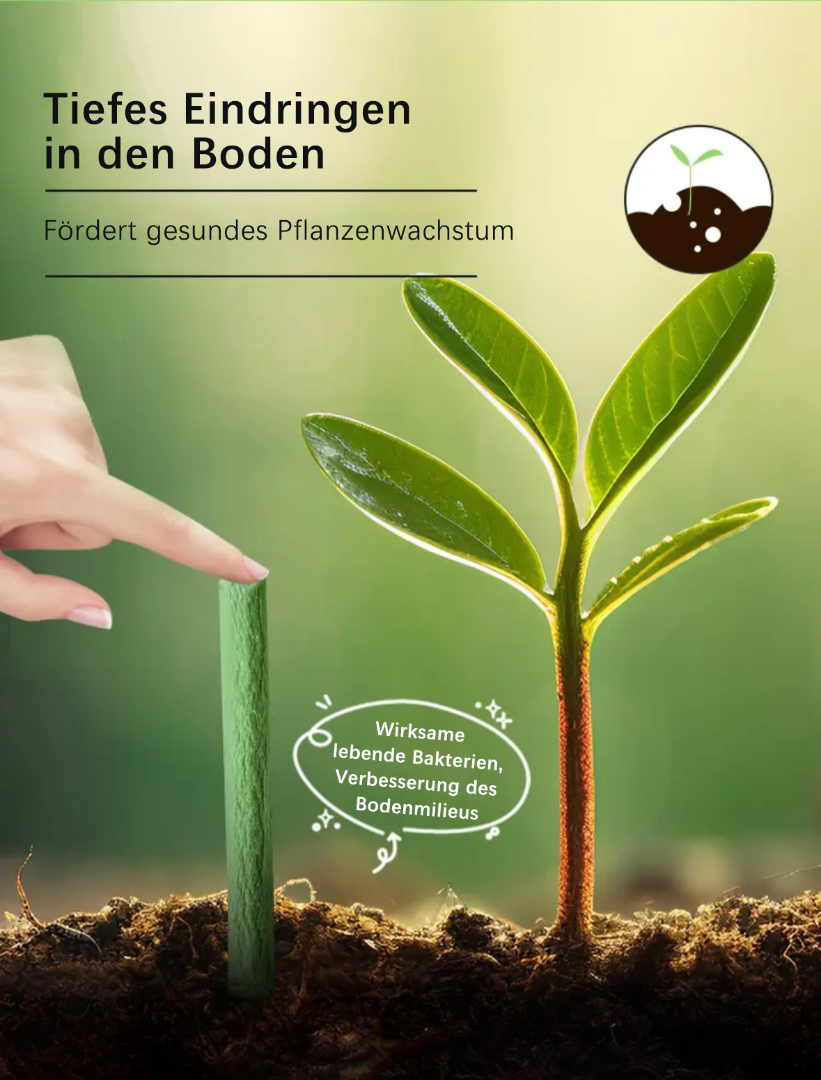 Pflanzendünger-Spikes - Universaltyp