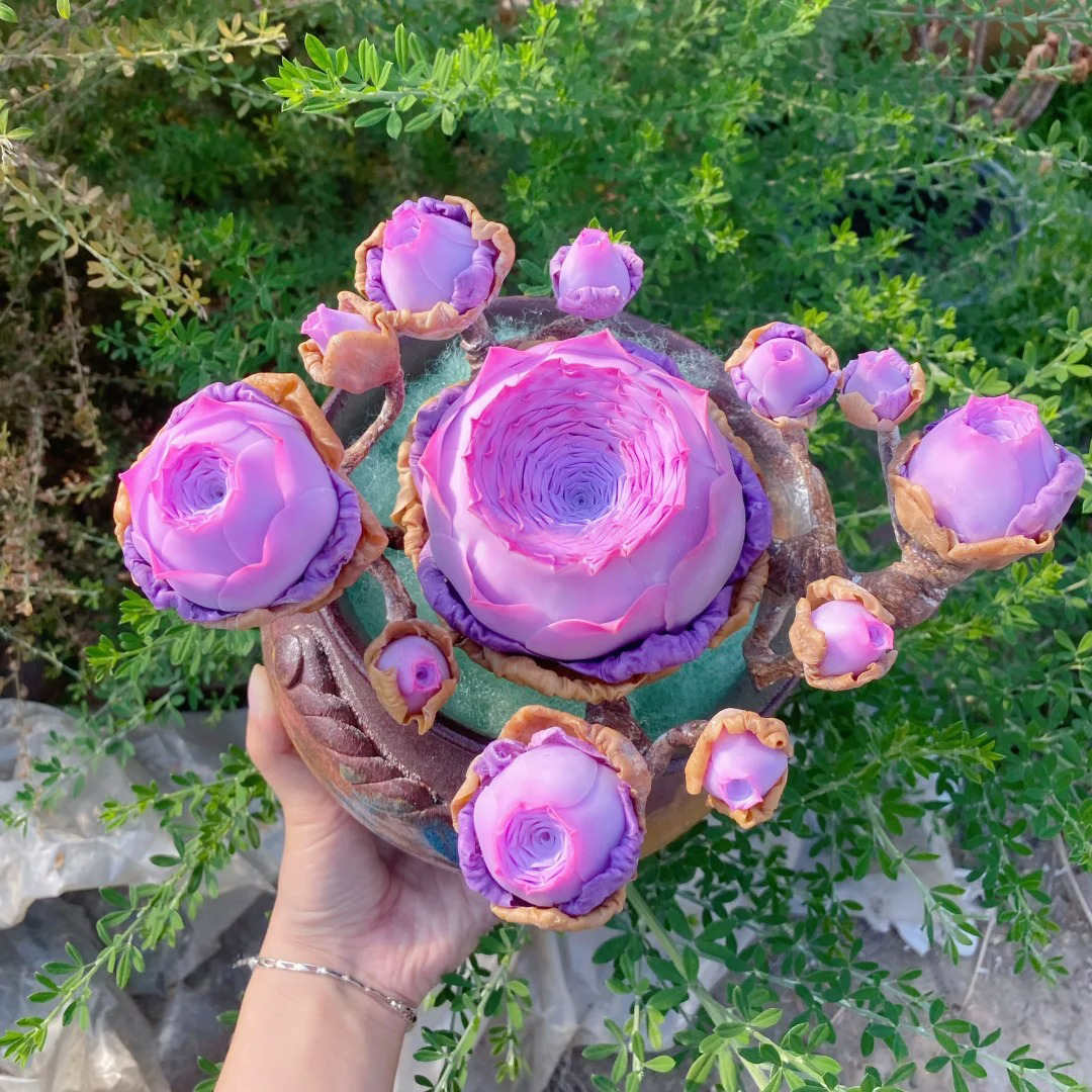 Bergrosensamen – Seltene Sukkulenten – Erhältlich in drei Farben