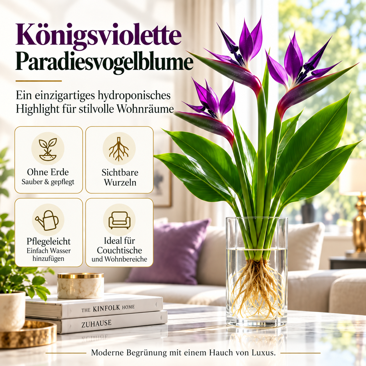 🕊️Die hydroponische Anzucht von Paradiesvogelblumen, von der Knolle bis zur Blüte, ist unglaublich therapeutisch