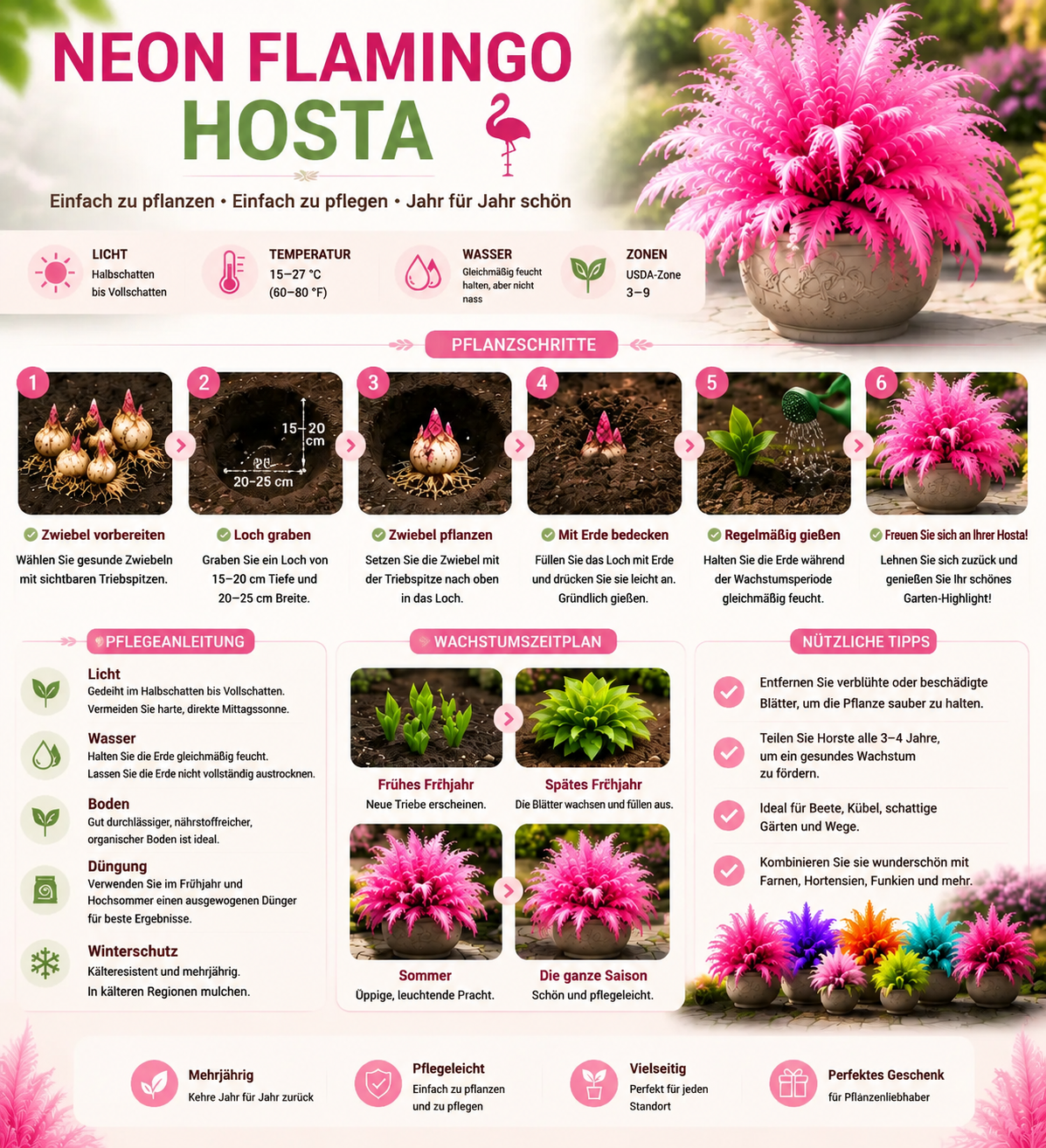 🦩 Neon Flamingo Hosta-Zwiebeln – Erwecken Sie einen seltenen, von Flamingos inspirierten Garten zum Leben