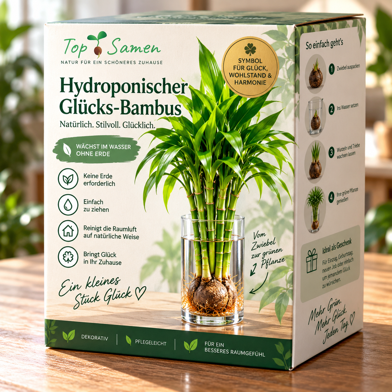 🌿 Hydroponischer Glücks-Bambus Zwiebeln - Glück, frisches Grün und natürliche Schönheit – ganz ohne Erde