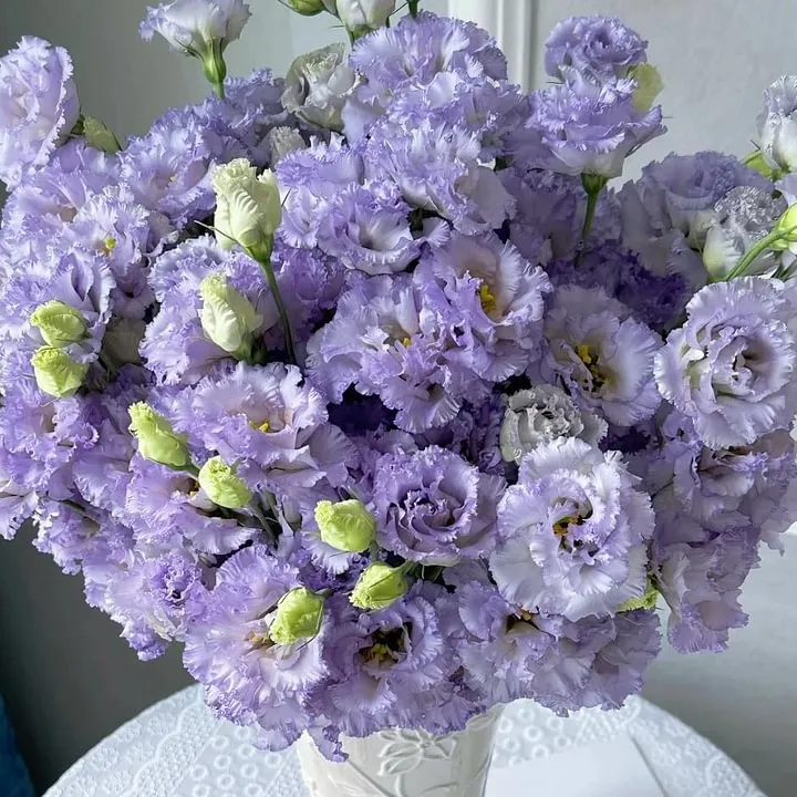 🌺LISIANTHUS – AUFRICHTIGE LIEBE