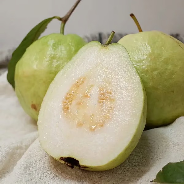 🔥 (New Harvest) Organic Pink Guava Seeds | 🌿Pre-Primed for High Germination (99% Germination)