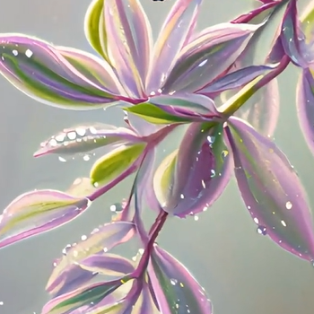 💐Oil Painting Hochzeit Orchidee Samen