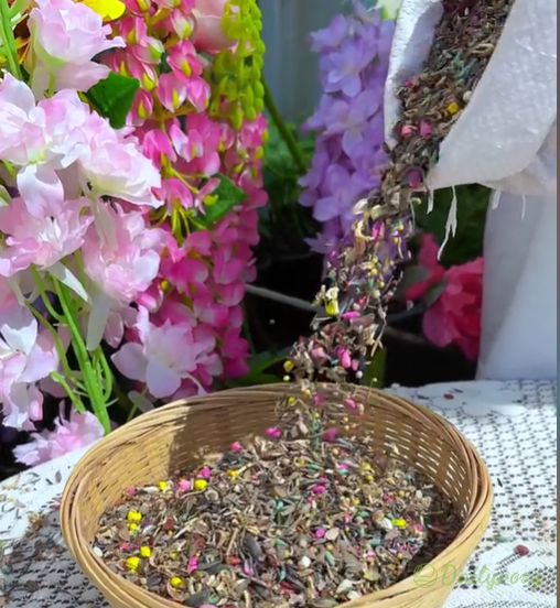 Mixed Perennial Flowers Seeds-Over 50 kinds mixed-Easy care