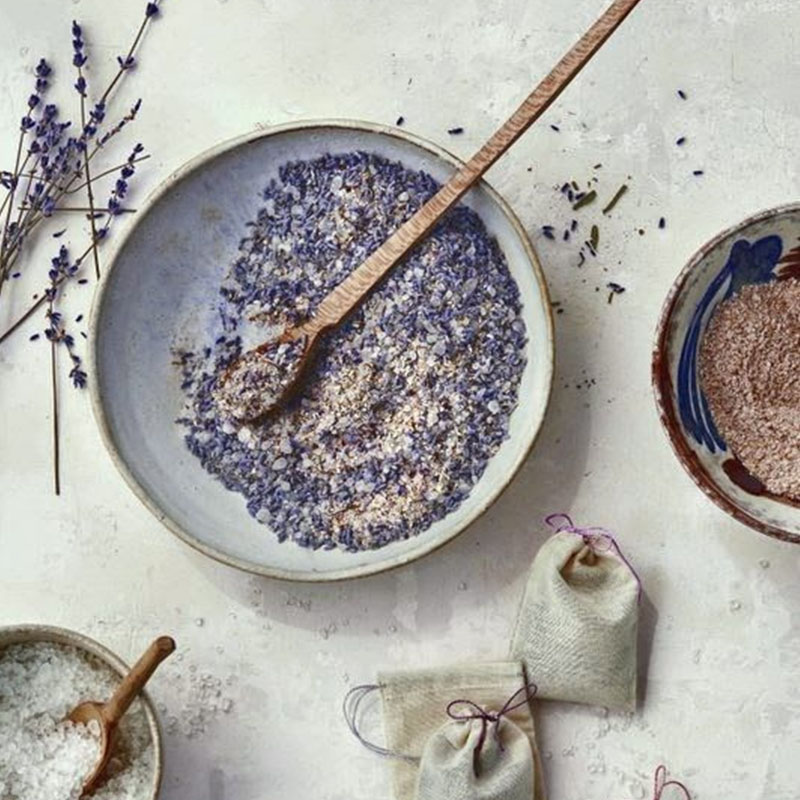 Lavender Herb Seeds - Perennial