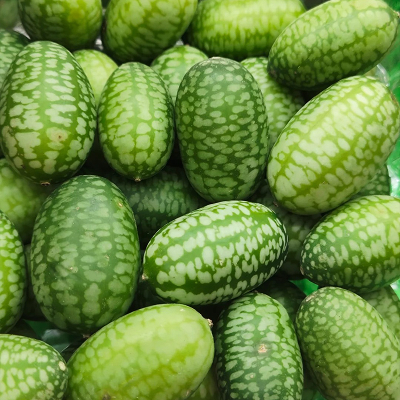 🌟Neue Produkte der Saison🔥Daumen Wassermelone Samen🌱Seltene Wassermelone