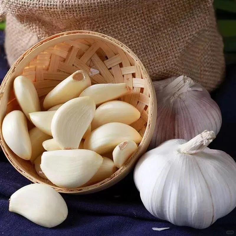 🧄Lila Knoblauch: Gesunde Zwiebeln ohne GVO
