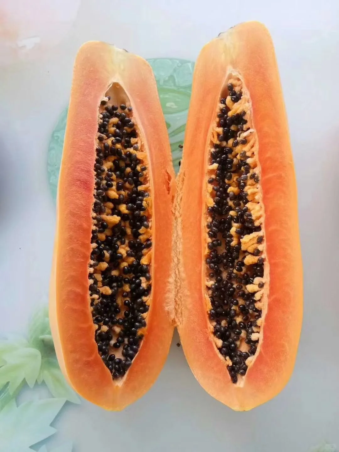 GOLDEN CREAM PAPAYA SAMEN