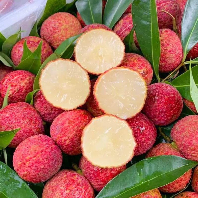 Seedless Lychee Seeds
