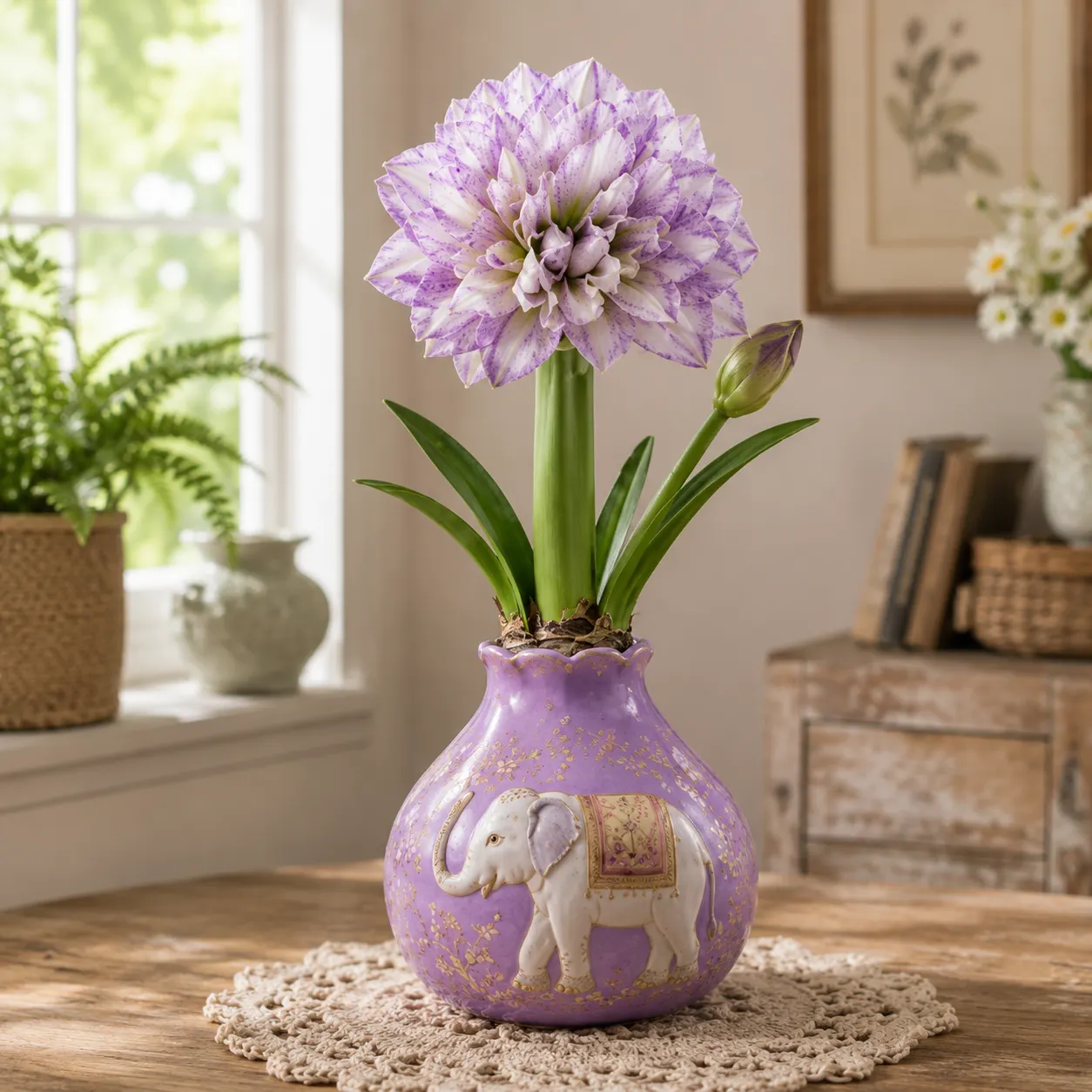 🌺 Gewachste Doppel Amaryllis-Zwiebeln – Kein Gießen nötig, einfach beim Wachsen zusehen
