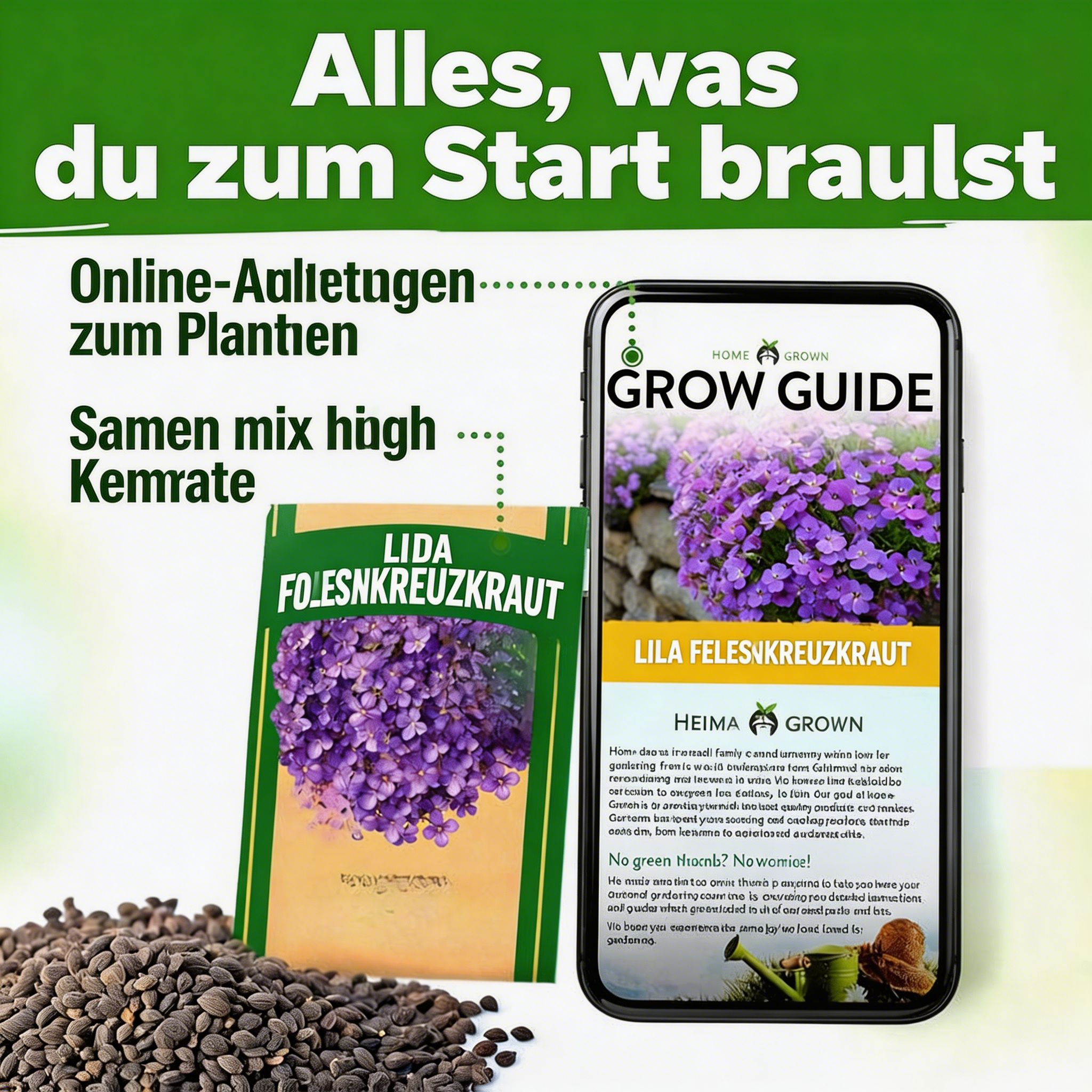 Aubrieta-Felsenkresse 'Purple' – Samenpackung für blühende Bodendecker – Mehrjährige Kressesamen für die Bepflanzung von Rasenflächen im Freien – Pflegeleicht, 300 gentechnikfreie Aubrieta deltoidea-Samen