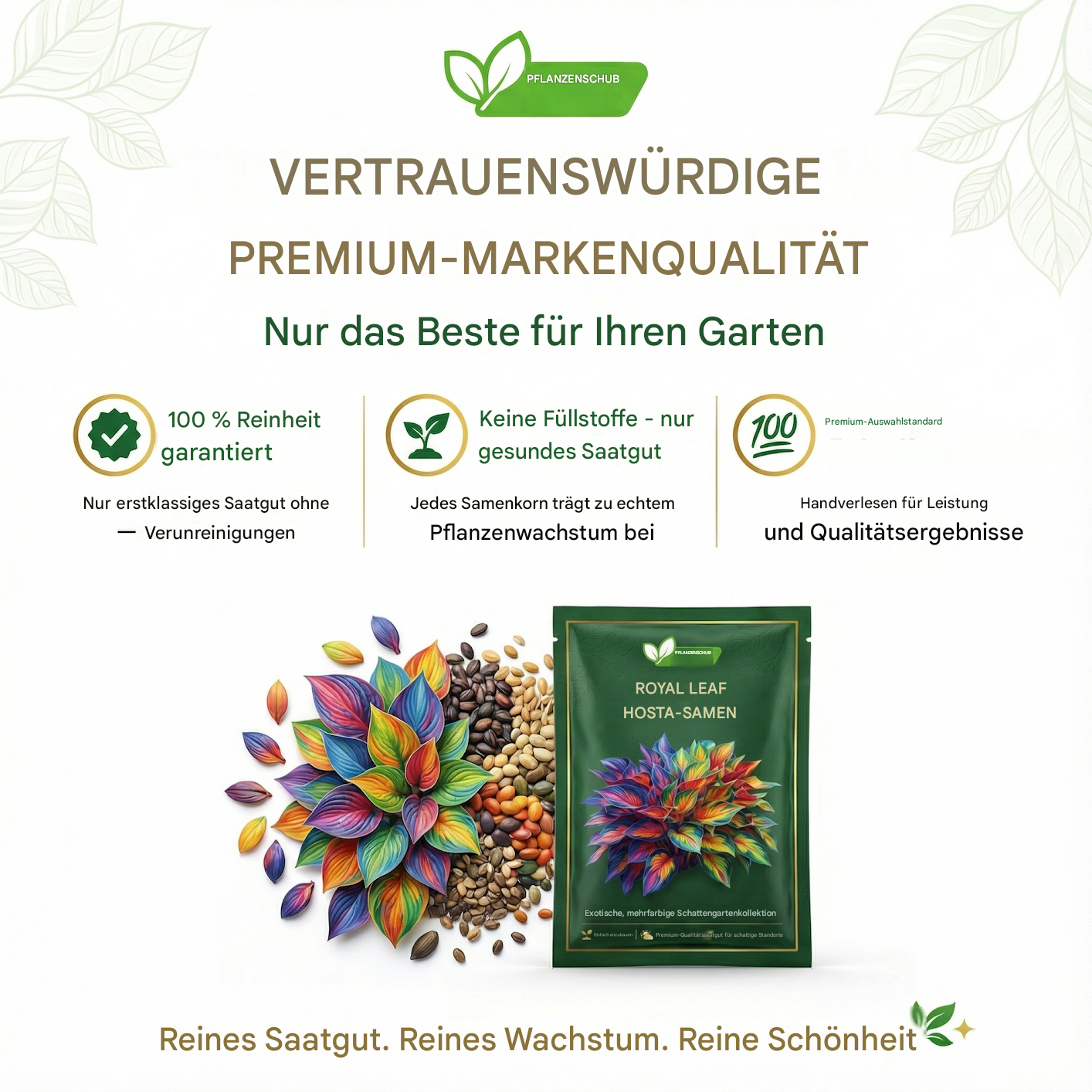 💥LETZTER TAG: 50 % RABATT🌿 Premium-Hostasamen (selten) | Neuheiten 2026 aus dem Blumenviertel von Los Angeles