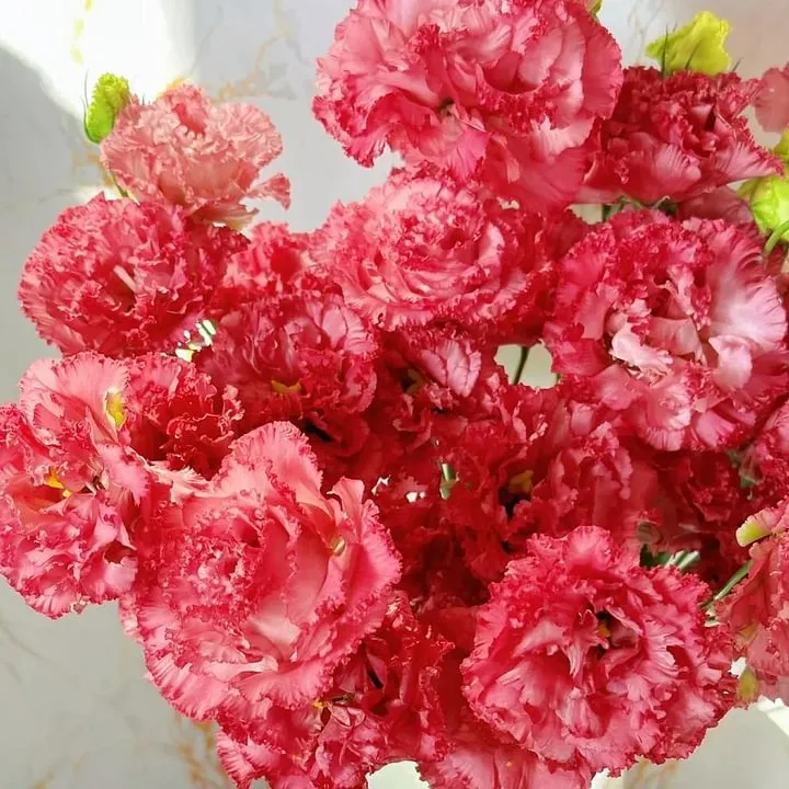 🌺LISIANTHUS – AUFRICHTIGE LIEBE