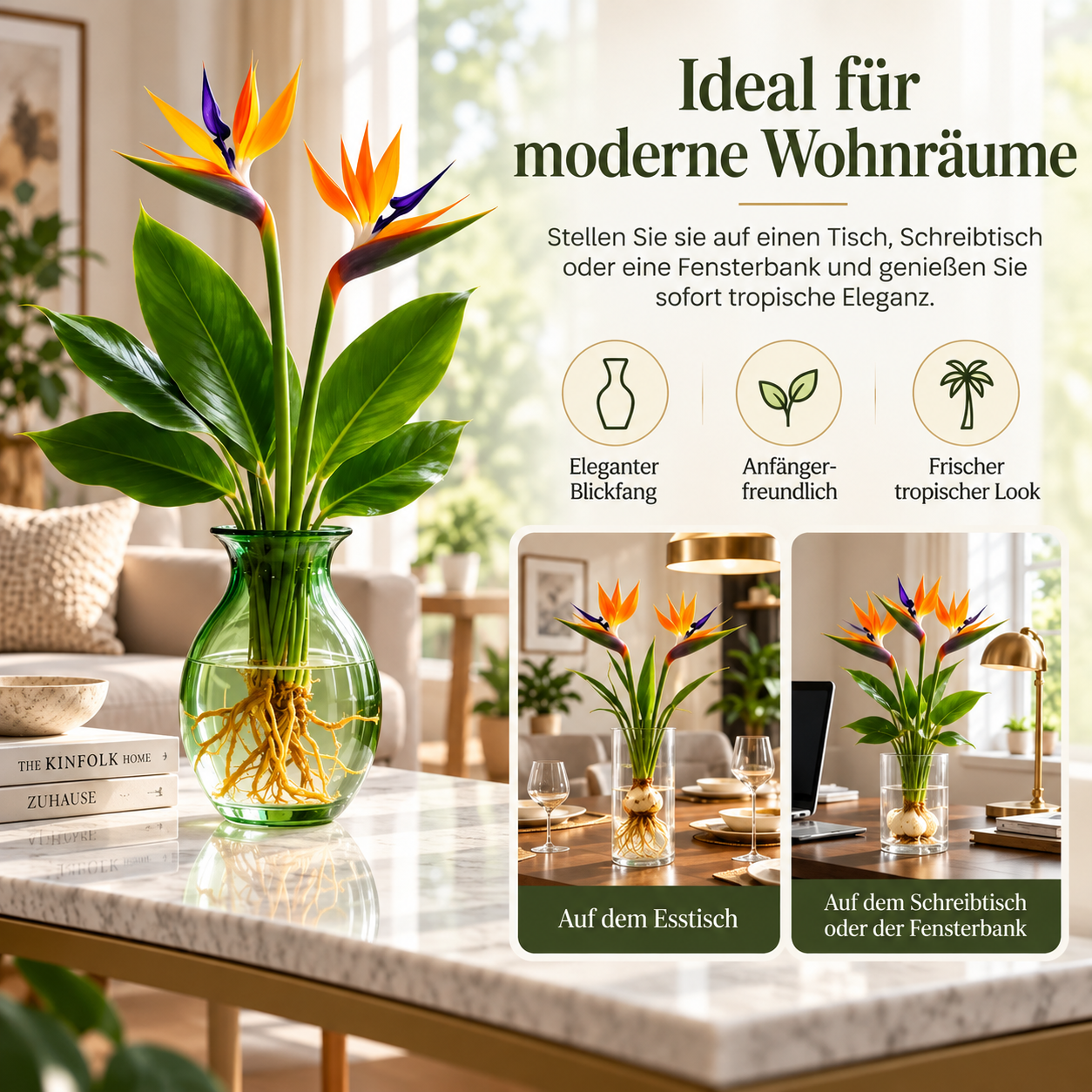 🕊️Die hydroponische Anzucht von Paradiesvogelblumen, von der Knolle bis zur Blüte, ist unglaublich therapeutisch