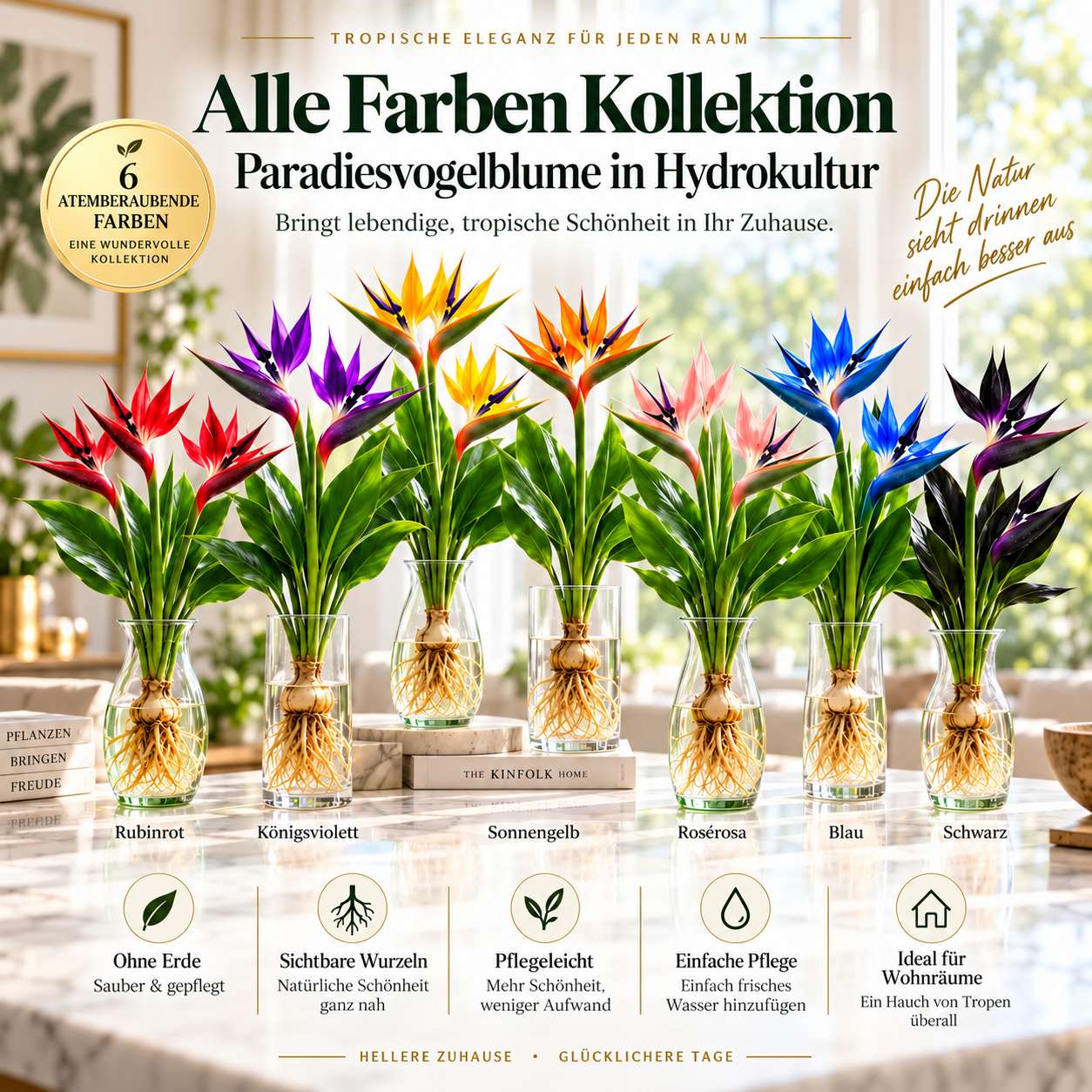 🕊️Die hydroponische Anzucht von Paradiesvogelblumen, von der Knolle bis zur Blüte, ist unglaublich therapeutisch