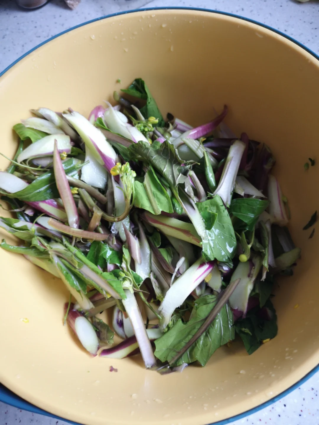 SWEETHEART-ROTKOHLSAMEN, ROTSTIEL-GRÜNKOHLSAMEN