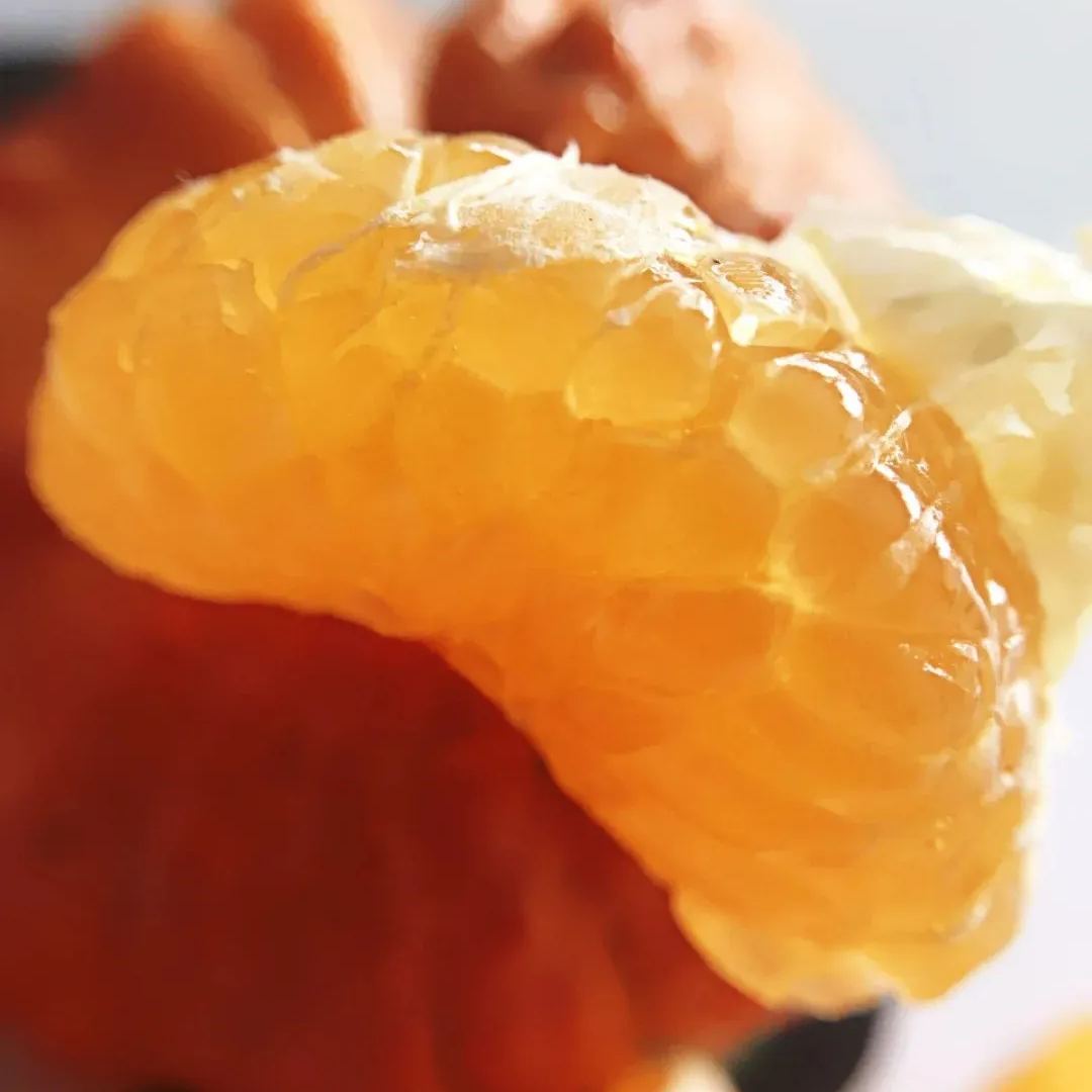 🎃🍊Pumpkin Orange Seeds