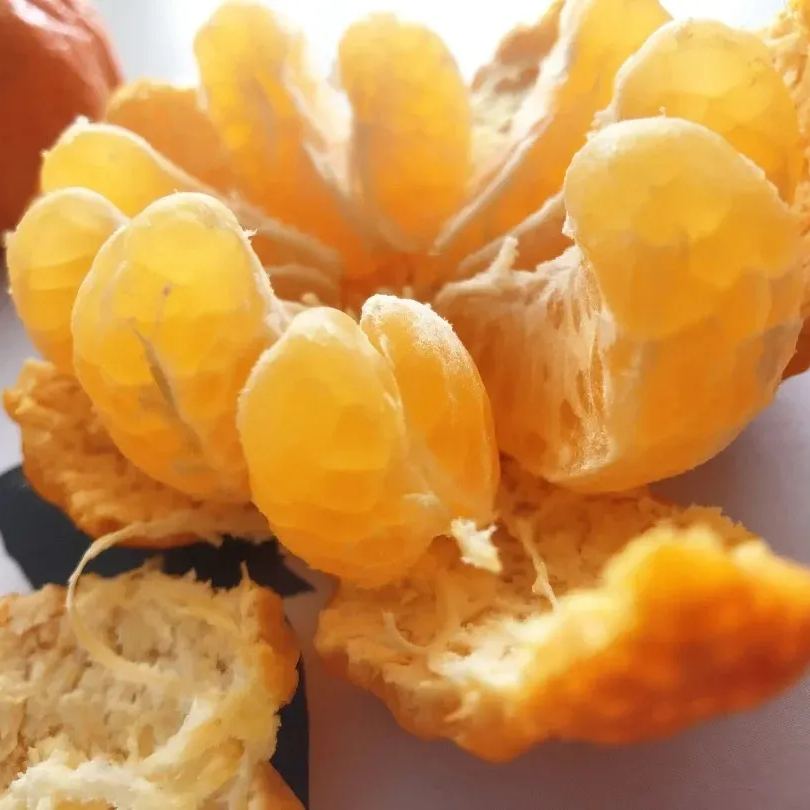 🎃🍊Pumpkin Orange Seeds