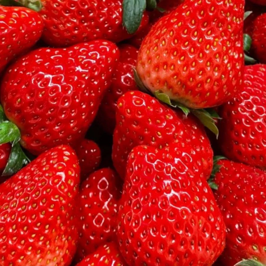🪴Rare Strawberry Seeds🍓 Juicy and Sweet💥 Best Seller of 2024