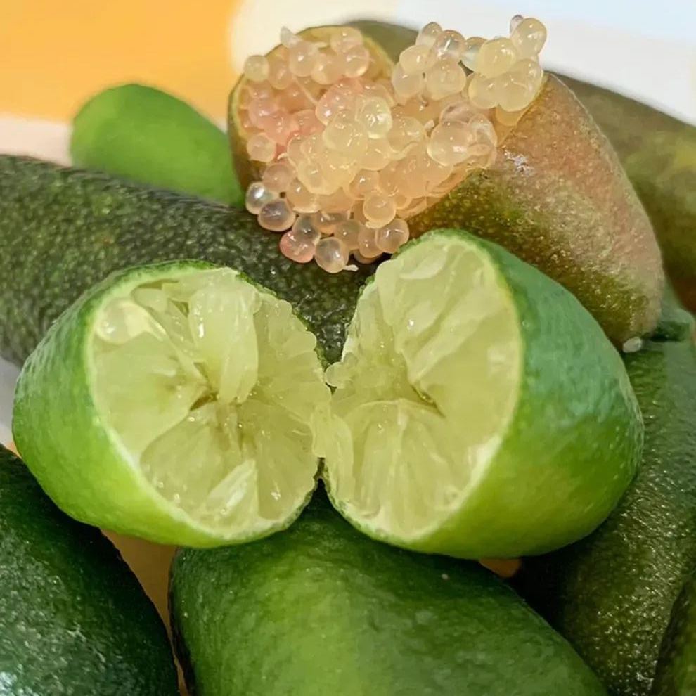 50% off 🍋Lemon Caviar! 🪴Finger Lemon Seeds