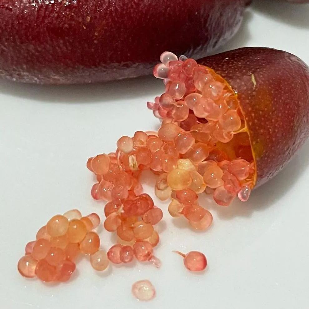 50% off 🍋Lemon Caviar! 🪴Finger Lemon Seeds